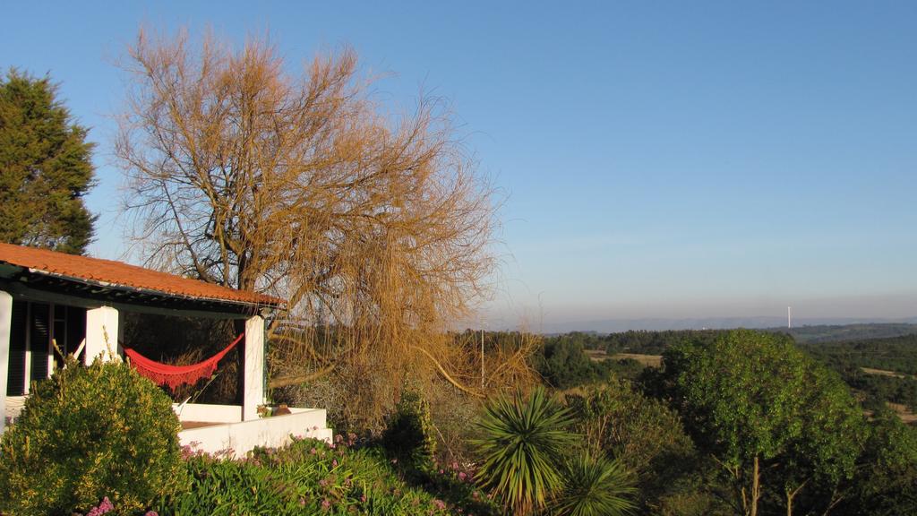 Gasthaus Casa Dos Mangues São Martinho do Porto Exterior foto